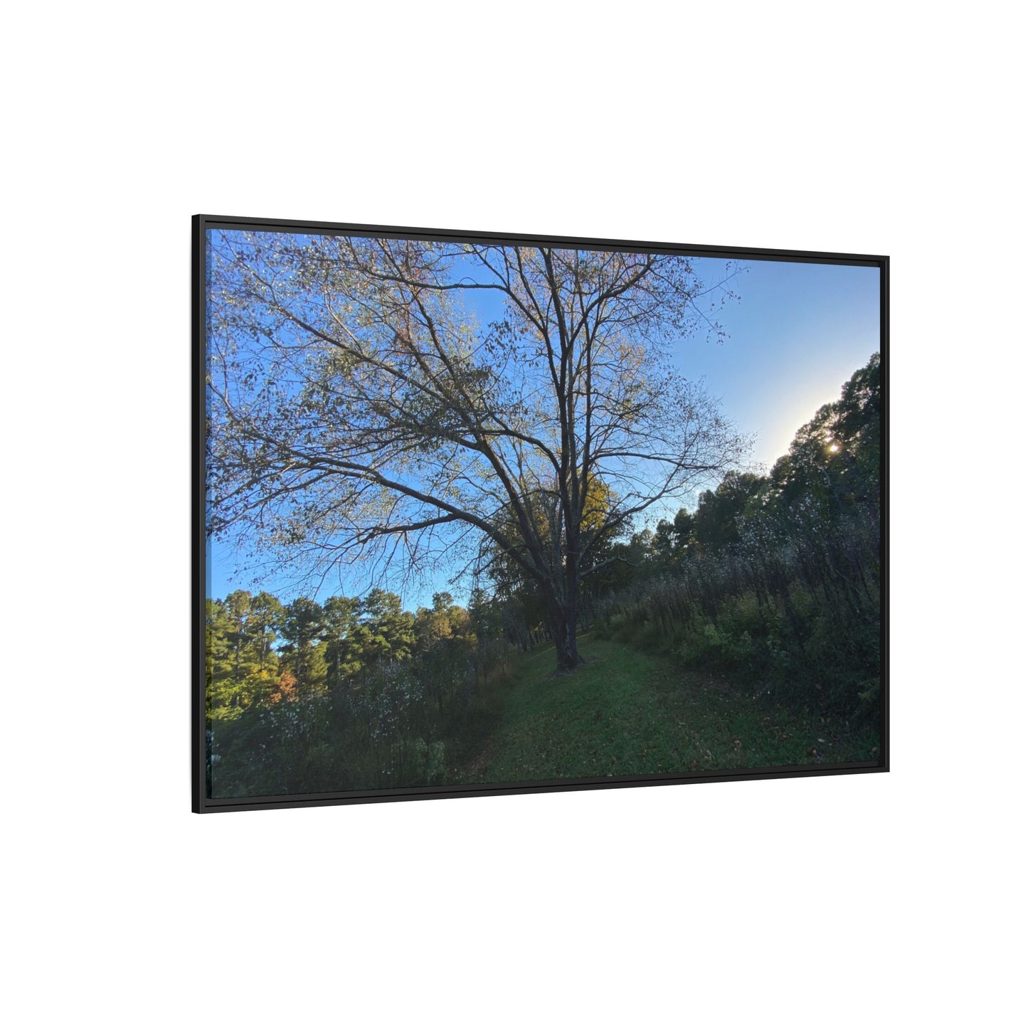 Framed Matte Canvas Art Print, Nature Wall Decor, Living Room Artwork, Gift for Nature Lovers, Home Office Decor, Rustic Vibes – 18″ x 12″ (Horizontal) Canvas for Art for Living Room (144 view)