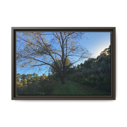 Framed Matte Canvas Art Print, Nature Wall Decor, Living Room Artwork, Gift for Nature Lovers, Home Office Decor, Rustic Vibes – 18″ x 12″ (Horizontal) Canvas for Art for Living Room (14 view)