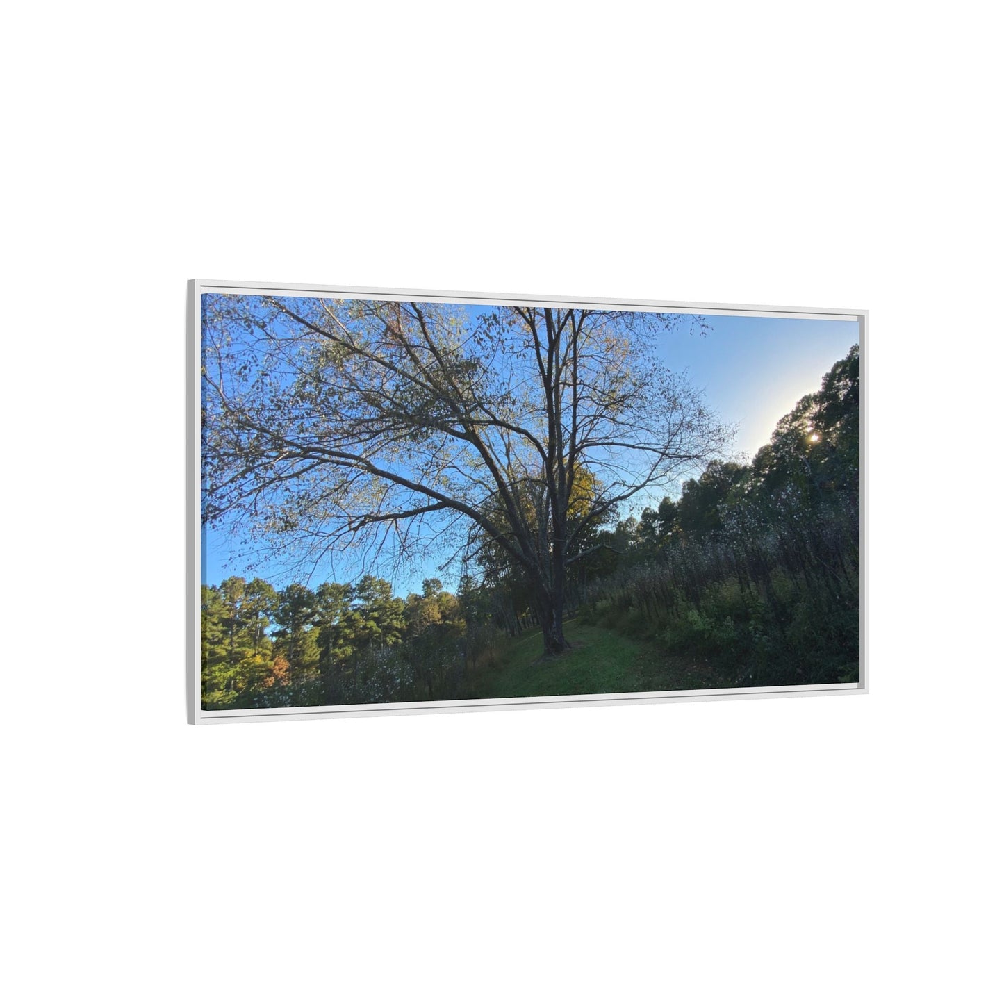 Framed Matte Canvas Art Print, Nature Wall Decor, Living Room Artwork, Gift for Nature Lovers, Home Office Decor, Rustic Vibes – 18″ x 12″ (Horizontal) Canvas for Art for Living Room (132 view)