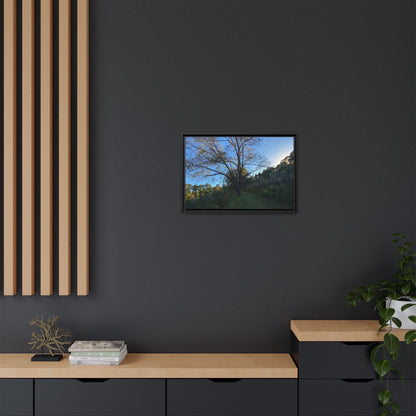 Framed Matte Canvas Art Print, Nature Wall Decor, Living Room Artwork, Gift for Nature Lovers, Home Office Decor, Rustic Vibes – 60" x 40" (Horizontal) Canvas for Art for Living Room (86 view)