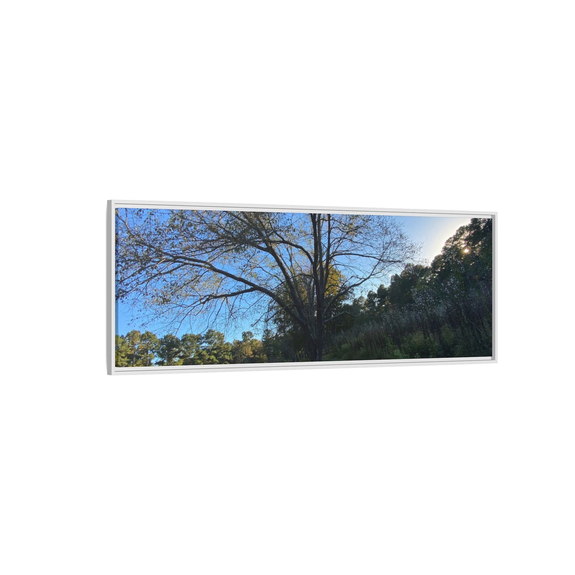 Framed Matte Canvas Art Print, Nature Wall Decor, Living Room Artwork, Gift for Nature Lovers, Home Office Decor, Rustic Vibes – 60" x 40" (Horizontal) Canvas by Printify