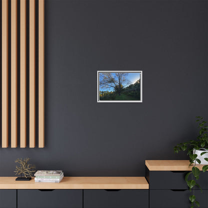 Framed Matte Canvas Art Print, Nature Wall Decor, Living Room Artwork, Gift for Nature Lovers, Home Office Decor, Rustic Vibes – 60" x 40" (Horizontal) Canvas by Printify