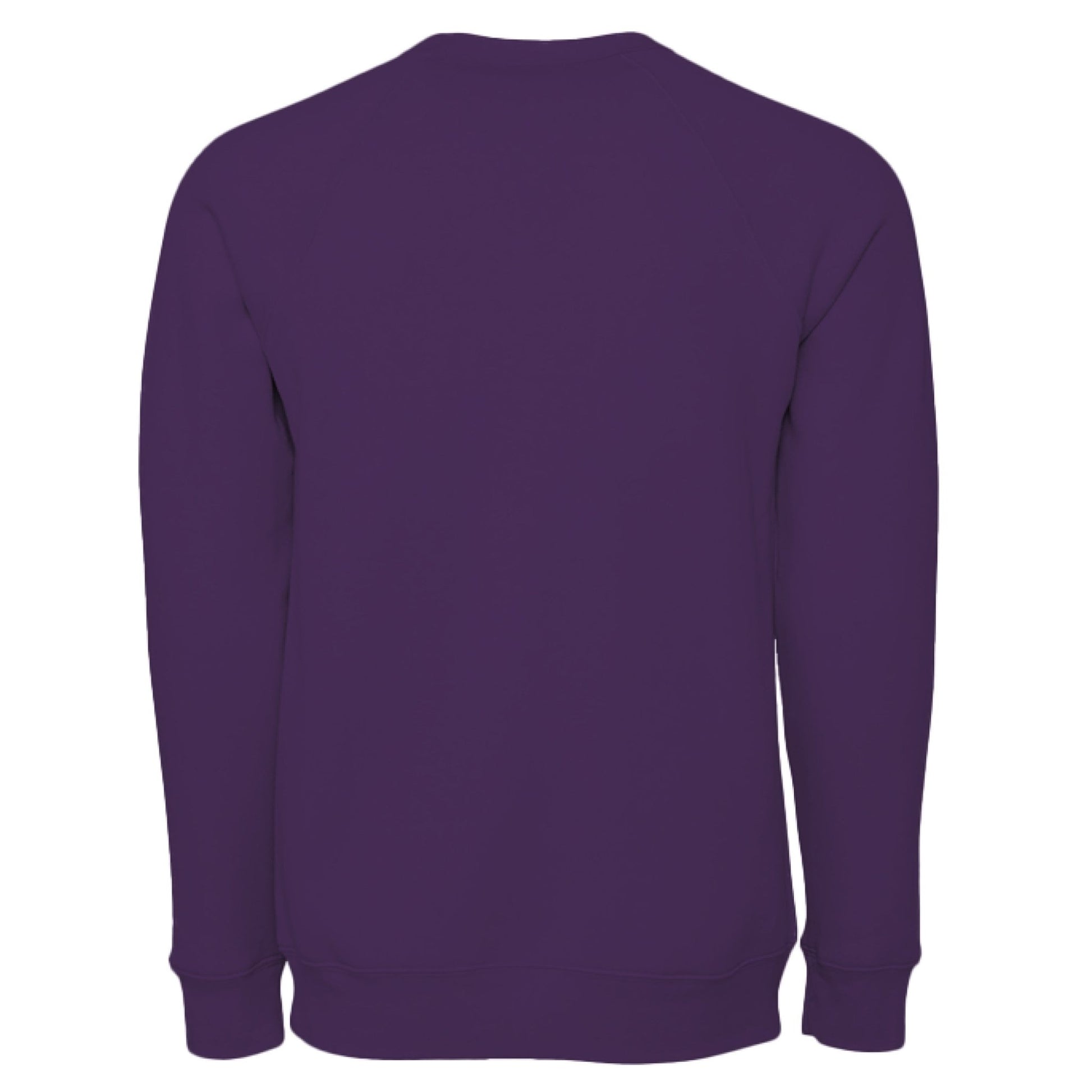 Have Your Robot Call My Robot Sweatshirt – Funny AI Quote Pullover | Clowns of E - Com Collection – Team Purple Sweatshirt for AI Humor (16 view)
