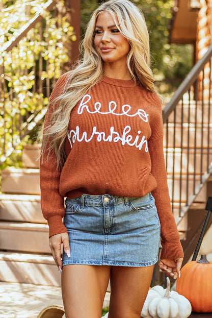 Hello Pumpkin Graphic Sweater – Flamingo Sweaters & Cardigans/Sweaters for Shopify Collective (3 view)