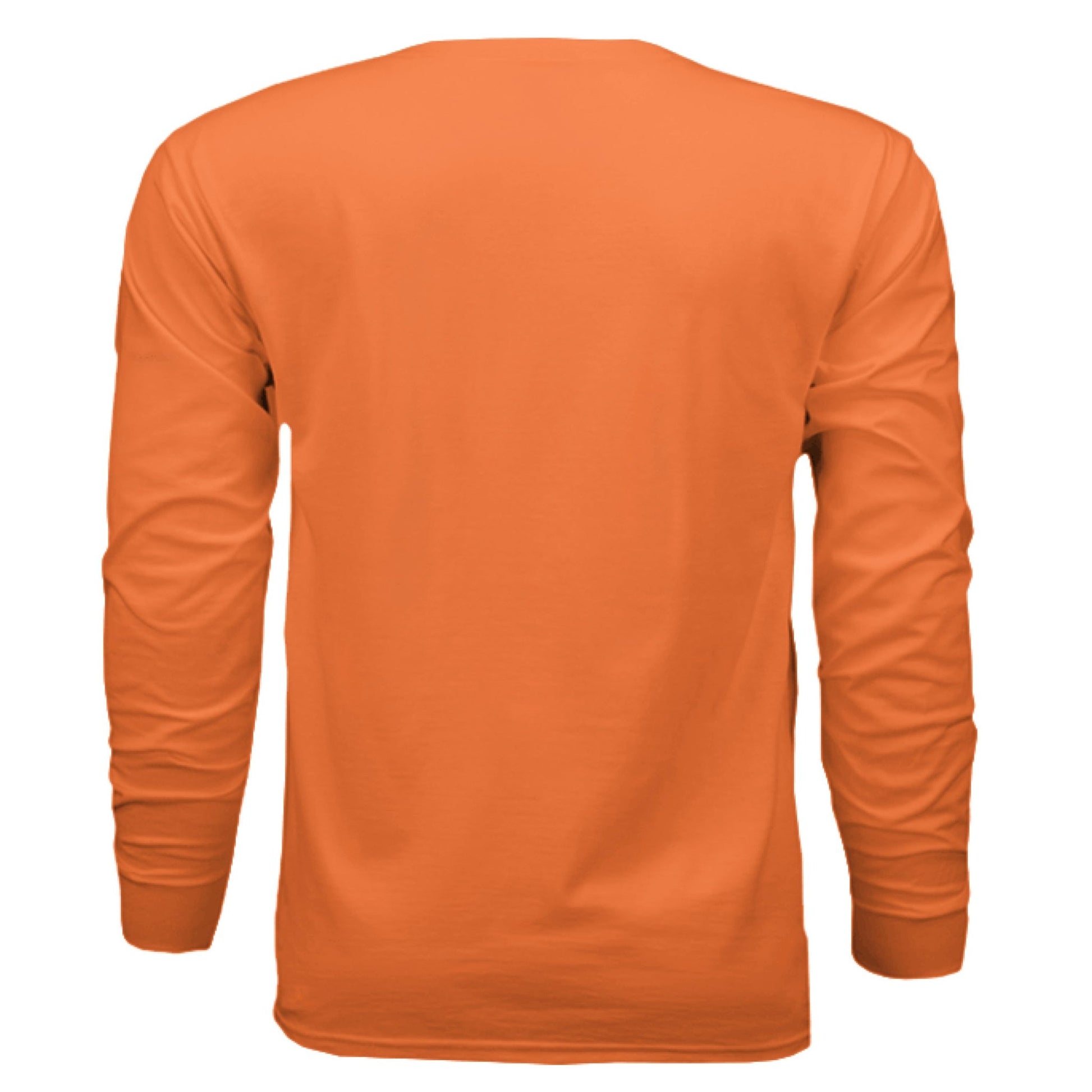 Nashville Guitar Long Sleeve Tee – Music City Pride | RM Outpost Apparel – Orange T-Shirt for American Flag (4 view)