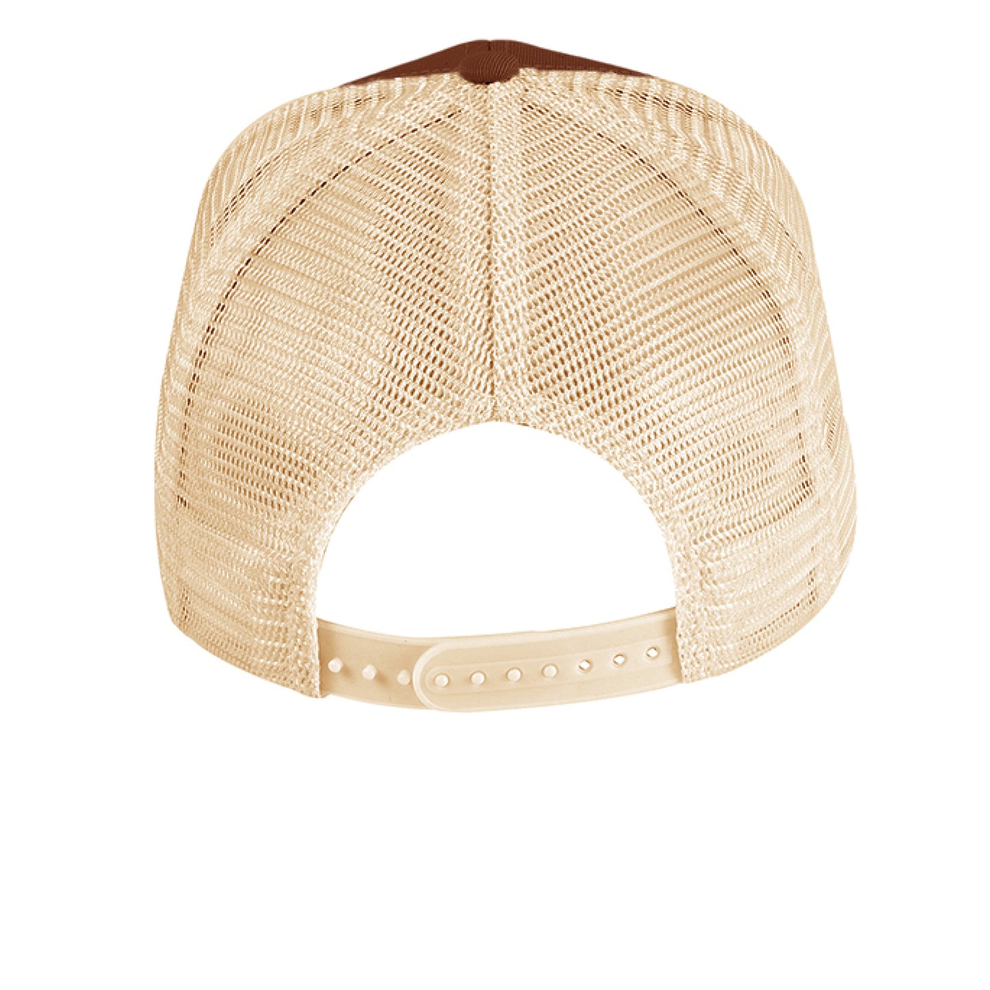 EARTH / OYSTER - BACK