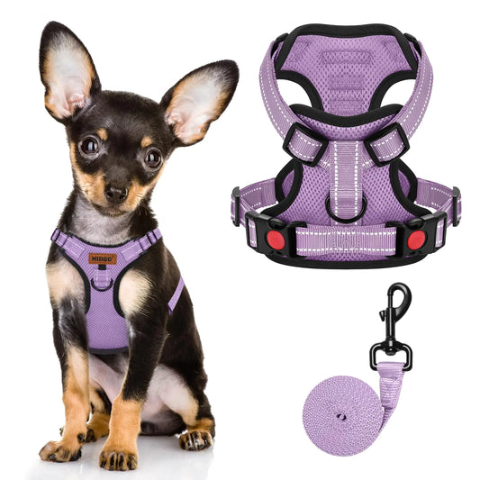 Midog No - Pull Dog Harness | Shop Sbrtn Homes – Purple Pet for adjustable (1 view)